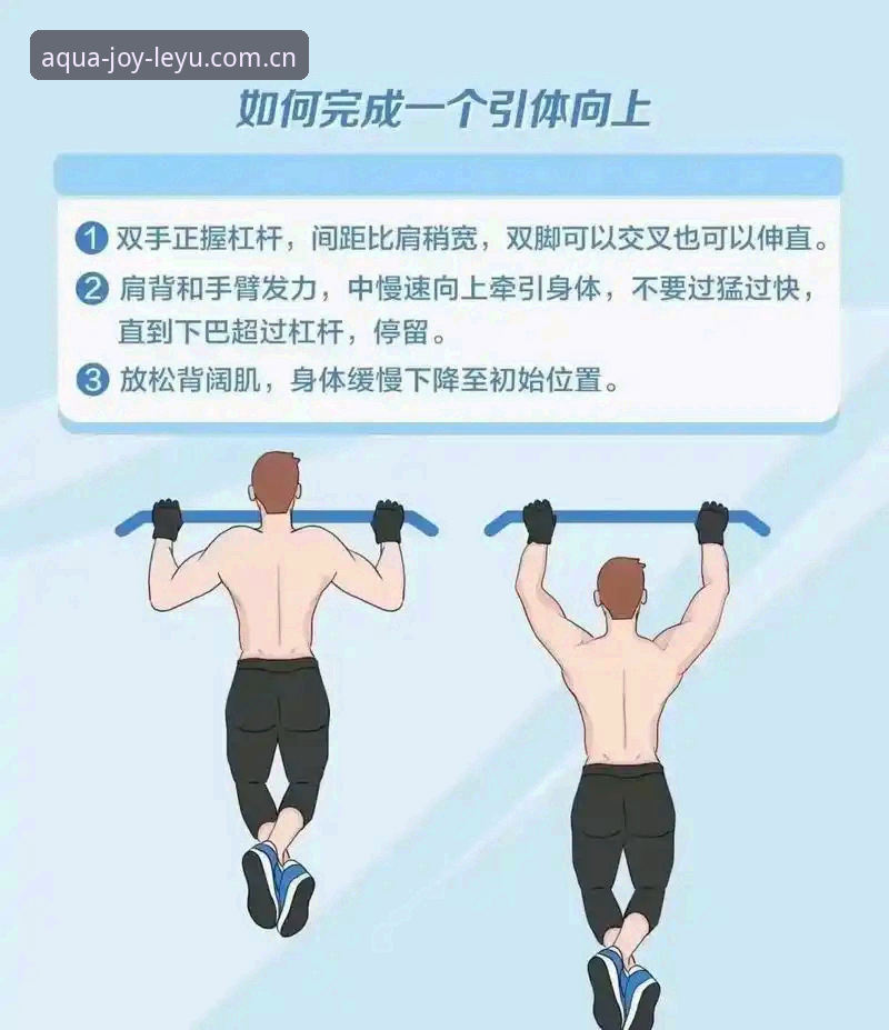 掌握乐鱼体育功能的关键：从新手到高手的实用指南